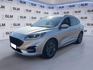 FORD Kuga 1.5 EcoBlue 120 CV 2WD ST-Line