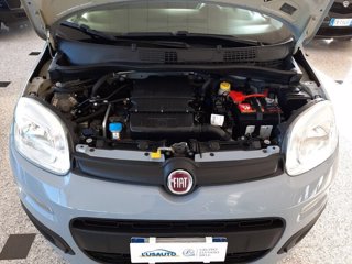 FIAT Panda 1.2 EasyPower Easy