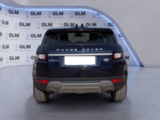 LAND ROVER Range Rover Evoque 2.0 TD4 150 CV 5p. Business Edition SE