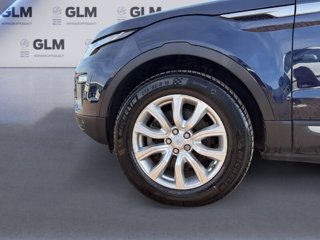 LAND ROVER Range Rover Evoque 2.0 TD4 150 CV 5p. Business Edition SE
