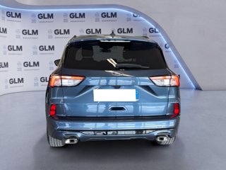 FORD Kuga 1.5 EcoBlue 120 CV 2WD ST-Line