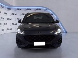 FORD Kuga 1.5 EcoBlue 120 CV 2WD ST-Line