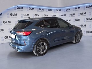 FORD Kuga 1.5 EcoBlue 120 CV 2WD ST-Line