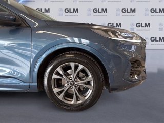 FORD Kuga 1.5 EcoBlue 120 CV 2WD ST-Line