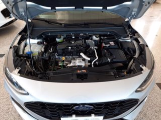 FORD Focus 1.5 EcoBlue 115 CV automatico SW ST-Line