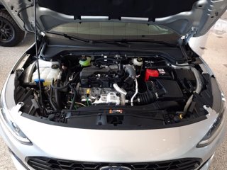 FORD Focus 1.5 EcoBlue 115 CV automatico SW ST-Line