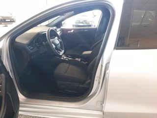 FORD Focus 1.5 EcoBlue 115 CV automatico SW ST-Line