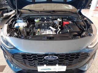 FORD Focus 1.5 EcoBlue 115 CV automatico SW ST-Line