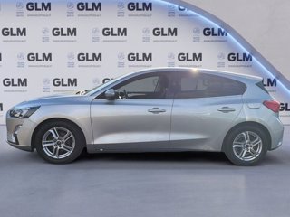 FORD Focus 1.5 Ecoblue 120cv Business