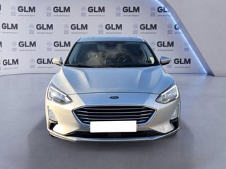 FORD Focus 1.5 Ecoblue 120cv Business