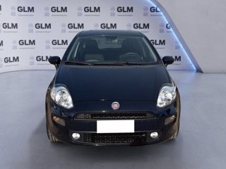 FIAT Punto 1.2 Street 69cv