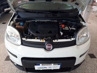 FIAT Panda 0.9 t.air t. 4x4 s&s 85cv