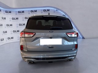 FORD Kuga 1.5 EcoBlue 120CV 2WD ST-Line