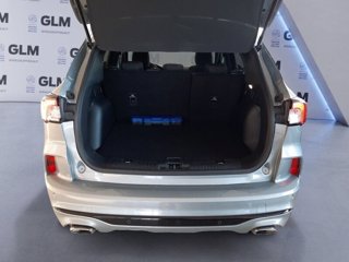 FORD Kuga 1.5 EcoBlue 120CV 2WD ST-Line