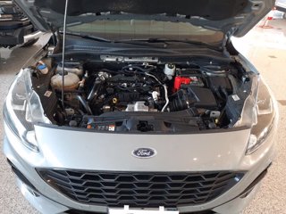 FORD Kuga 1.5 EcoBlue 120CV 2WD ST-Line