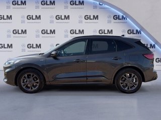 FORD Kuga 2.5 Benzina FHEV 190CV 2WD ST-Line Aut