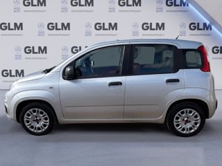 FIAT Panda 1.2 69cv Young