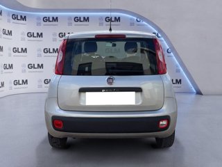 FIAT Panda 1.2 69cv Young