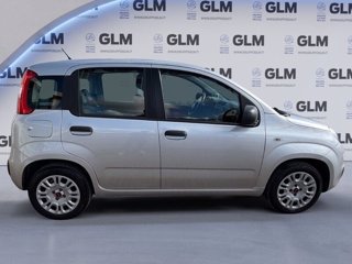 FIAT Panda 1.2 69cv Young