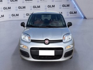 FIAT Panda 1.2 69cv Young