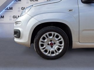 FIAT Panda 1.2 69cv Young