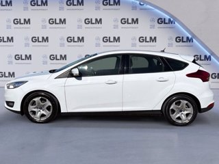 FORD Focus 5p 1.5 tdci plus s&s 120cv