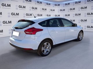 FORD Focus 5p 1.5 tdci plus s&s 120cv
