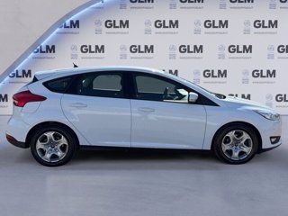 FORD Focus 5p 1.5 tdci plus s&s 120cv