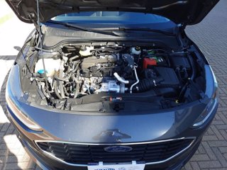 FORD Focus active 1.5 ecoblue 115cv auto