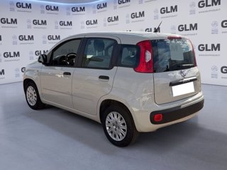 FIAT Panda 1.2 easy 69cv